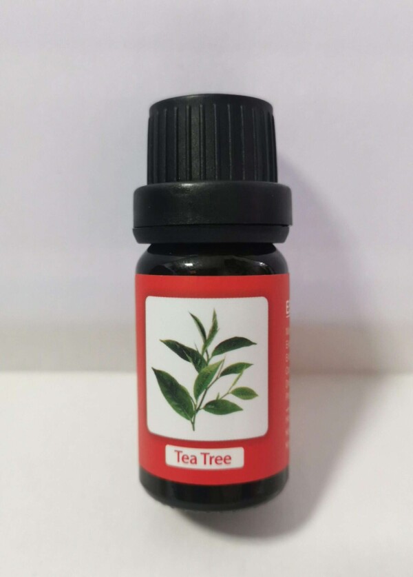 Esencia A-H6792 Te Verde - Imagen 2