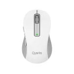 Mouse Quanta