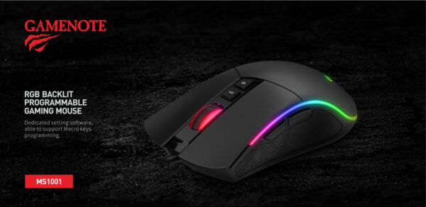 MOUSE HAVIT