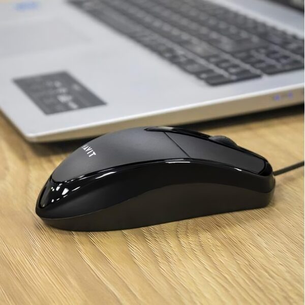 MOUSE HAVIT