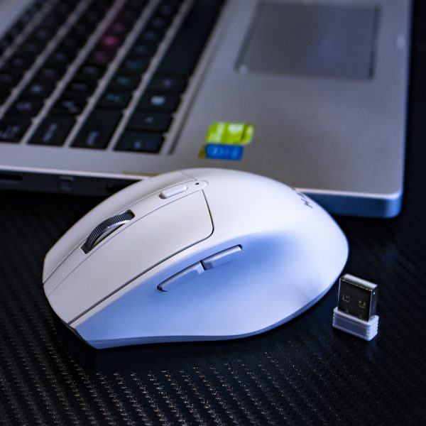 MOUSE