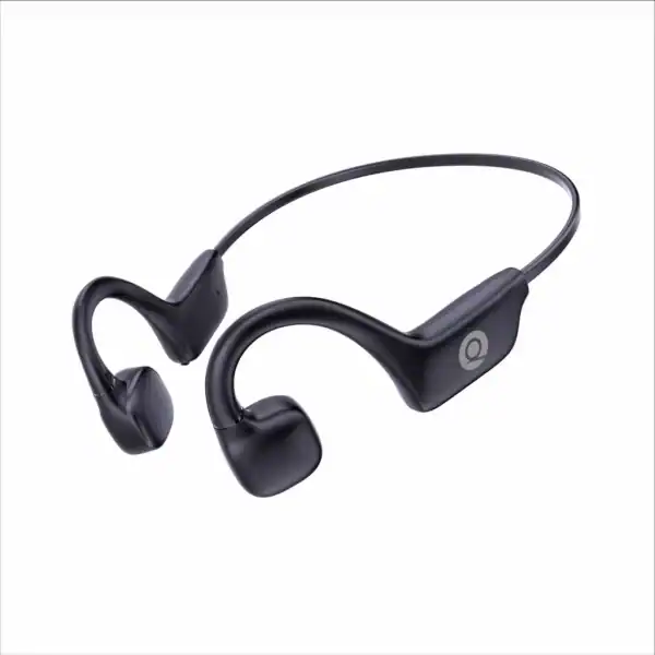 Auricular Bone