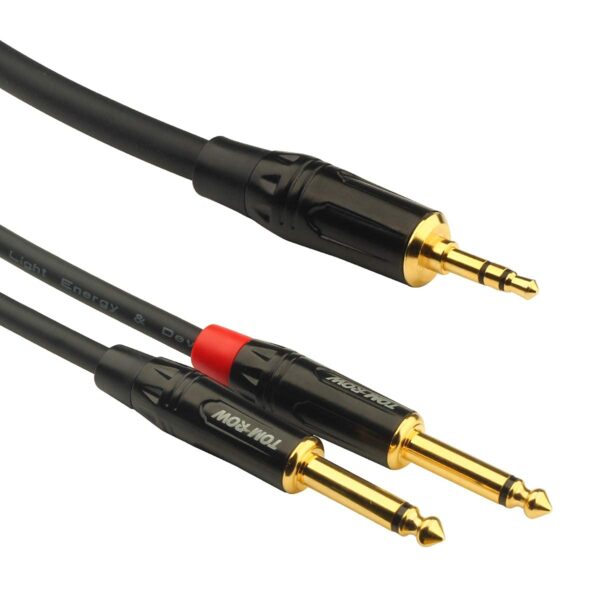 Cable Auxliar a 2 PLUG 6.5