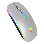 Mouse dual Wirelless