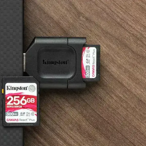 Lector de memoria SD USB