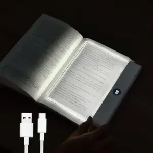 luz