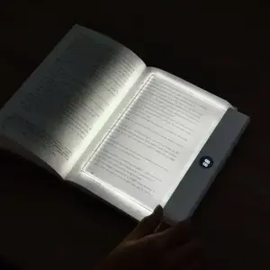luzl2