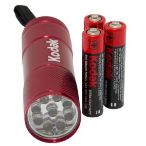 Linterna LED 2W 46LM IP62